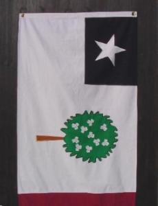 MISSISSIPPI REPUBLIC MAGNOLIA FLAG 3X5 SEWN