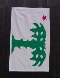 CONFEDERATE PALMETTO SHARPSHOOTERS FLAG SEWN 51X51"
