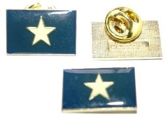 CONFEDERATE BONNIE BLUE FLAG PIN