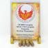 40 S&W CTX Frangible Copper Round